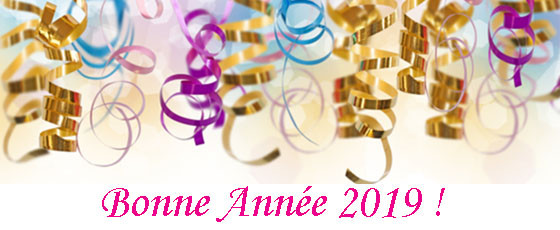 Bonne année 2019 Bonne année 2019