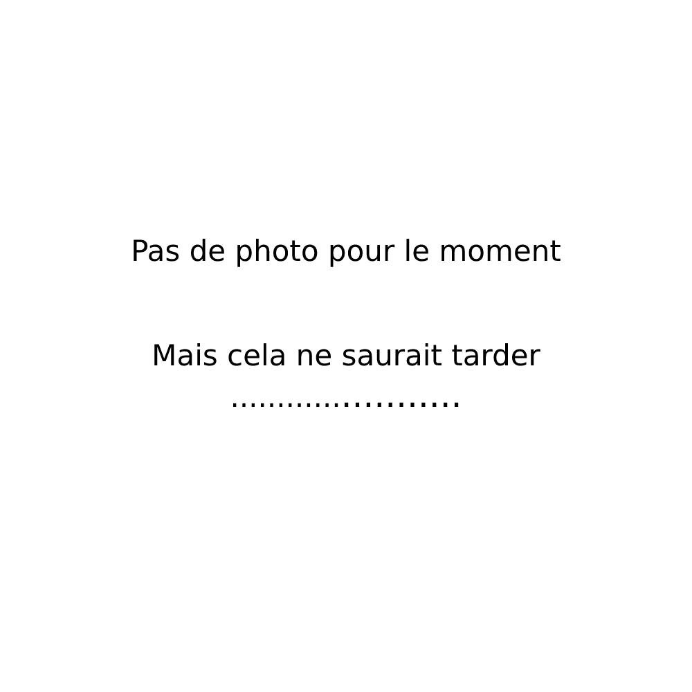 Ficelle à piquer en lin blanchi - 100g